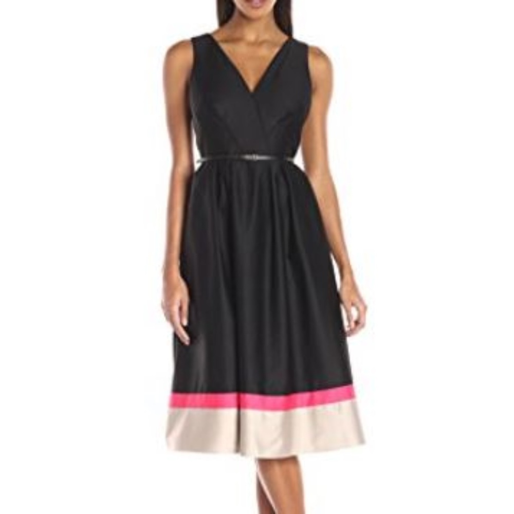 Lbd Plus Color Block, Fit & Flare Day Dress - image 1